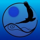 Sea-Wing Designs - Web Design & Development in Rochester