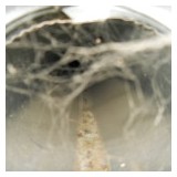 Breathe - Ezee Duct Cleaning - Heating & Air Conditioning / HVAC in Everett