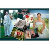 Nick Felkey Photography - Other in Bainbridge Island