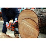 Tree Guy - Tree Services in Tacoma