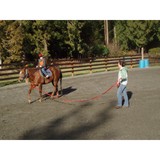 Keystone Equestrian - Other in Fall City