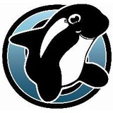 Orca Information Inc - Other in Anacortes