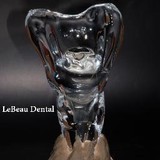 Lebeau Dental Laboratory Inc - Dental Technicians/Dentures/Implants in Renton