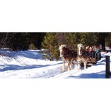 Red-Tail Canyon Farm - Other in Leavenworth