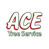 Ace Tree Service LLC - Tree Services in Bellevue