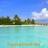 Tropicaltravel.net - Travel Agents in Seattle
