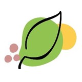 Harmony Health Chiropractic & Massage - Chiropractors in Puyallup
