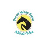 Sweet Water Farm Akhal-Teke - Other in Friday Harbor