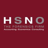 Hagen Steiff Newton & Oshirow - Accountants in Seattle
