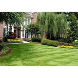 Jose's Landscaping - Landscaping in Bremerton