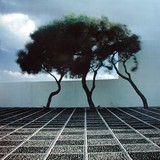 Barker Landscape Architect - Landscape Architects in Seattle