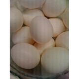 Sherpa Chow LLC - Cooking & Culinary School in Seattle