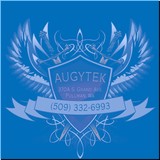 AugyTek - Other in Pullman