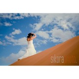 Sikora Photography - Other in Stevenson