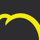 Igor Institute Incorporated - Software Development in Seattle