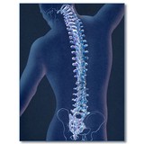 Community Chiropractic Ps - Chiropractors in Olympia