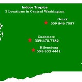 Indoor Tropics - Other in Ellensburg