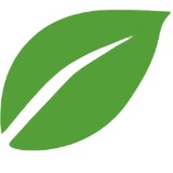Madrona Digital - Web Design & Development in Bellevue