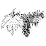 Washington Native Plant Scty - Educational Consultants in Seattle