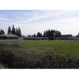 Washington Horsemen - Other in Spanaway