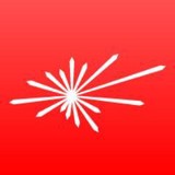 Fireworks Gallery - Fireworks in Seattle