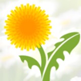 Learningherbs Com LLC - Other in Shelton
