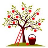 Holtzinger Fruit CO - Other in Yakima