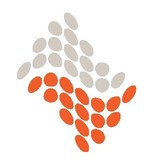 Zzoom Media - Marketing in Vancouver