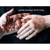 Magical Mehendi - Other in Anacortes