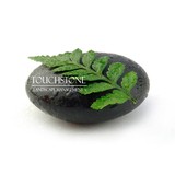 Touchstone Landscape Managemen - Other in Gig Harbor