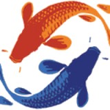 Water Shed - Water Suppliers in Vancouver