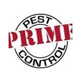 Prime Pest Control - Pest Control in Spokane
