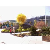 William Brendgard Attorney - Solicitors & Lawyers in Vancouver