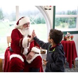Hemstrom Valley Tree Farm - Other in Granite Falls