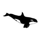 Outdoor Odysseys Inc - Other in Friday Harbor