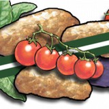 Irish Eyes Garden City Seeds - Other in Ellensburg