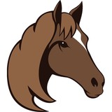 Riding Place - Other in Port Orchard
