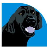 Black Dog Industries - Other in Richland