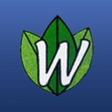 Urgent Care Chiropractic Center - Other in Kent