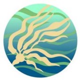 Feiro Marine Life Center - Other in Port Angeles