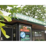 Roxbury Spine & Wellness - Chiropractors in Seattle