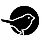 Fuego 16 - Women’s Clothing in Vancouver