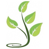 Vital Aging Clinic - Other in Anacortes