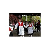 Viking Fest - Other in Poulsbo