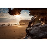 Nick Grier Photography - Other in Battle Ground
