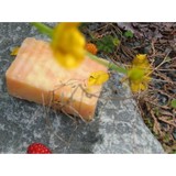 Snohomish Soap CO - Other in Snohomish