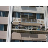 Parrot Painting - Painters & Decorators in Bellingham