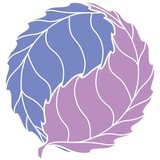 Novalife Fitness - Other in Issaquah
