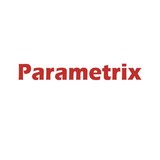 Parametrix Inc - Other in Bellevue
