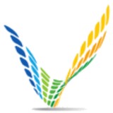 Verti Group International - Business Consulting in Issaquah